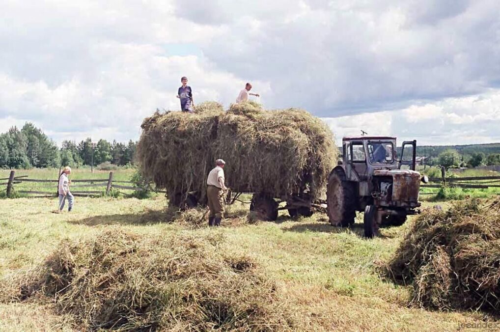 Советский фермер