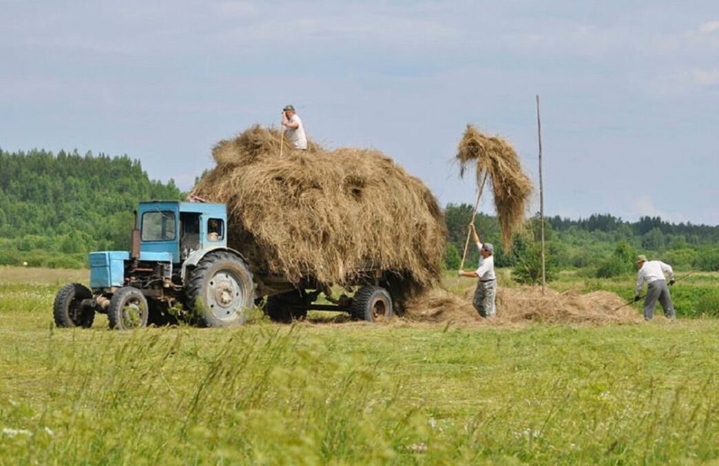 Советский фермер